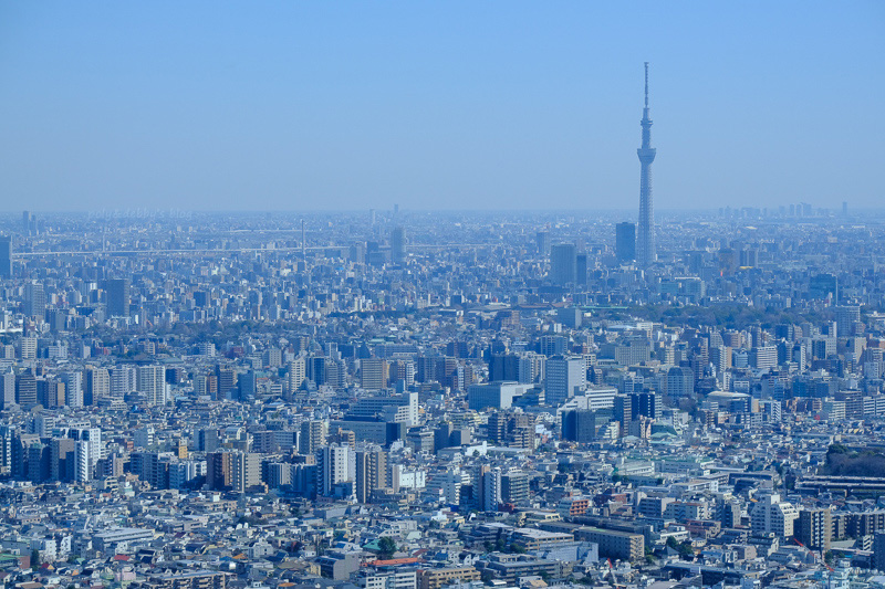 【池袋太陽城】陽光60瞭望台TENBOU-PARK：宛如空中公園！景色一級棒