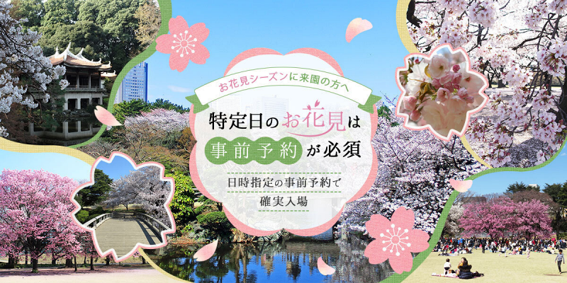 【東京】新宿御苑：櫻花＆楓葉大爆炸！門票美食交通＆附近景點一日遊