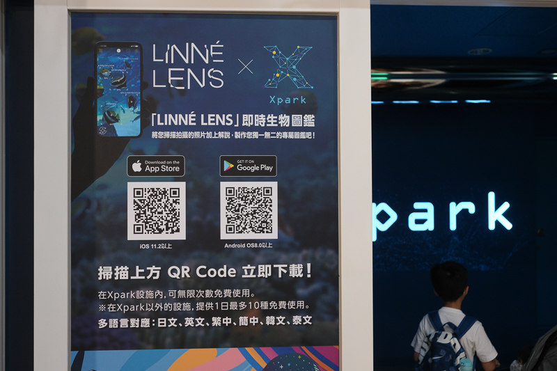 【2025 Xpark攻略】桃園Xpark水族館：必看重點、美食餐廳＆門票停車彙整