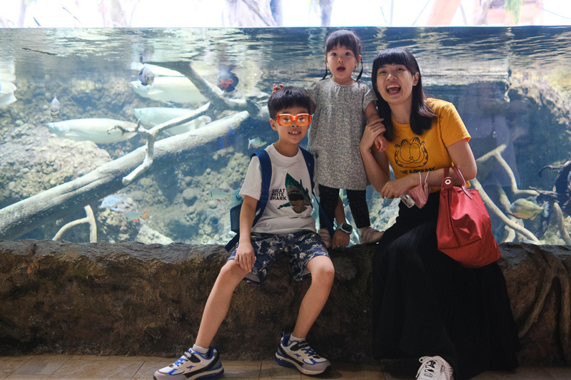 【2025 Xpark攻略】桃園Xpark水族館：必看重點、美食餐廳＆門票停車彙整