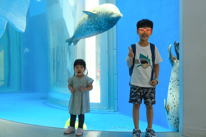 【2025 Xpark攻略】桃園Xpark水族館：必看重點、美食餐廳＆門票停車彙整
