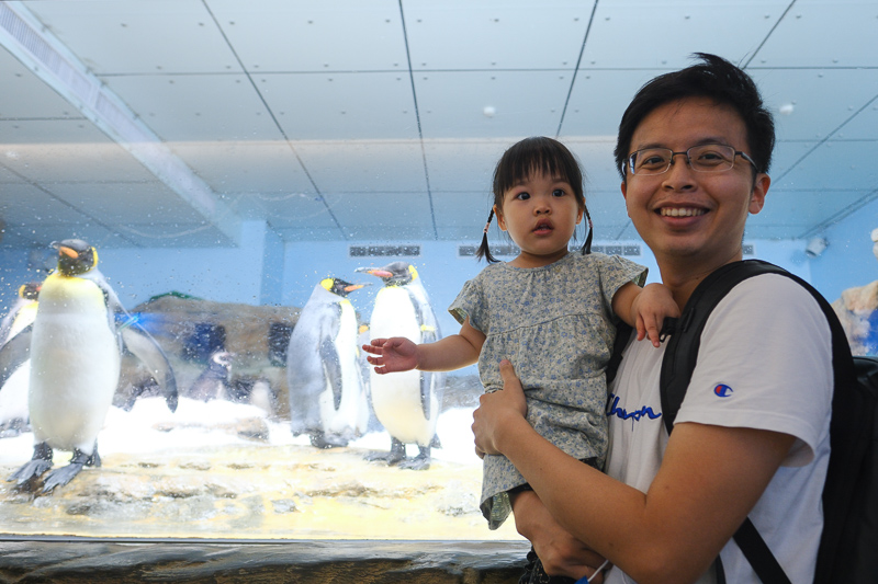 【2025 Xpark攻略】桃園Xpark水族館：必看重點、美食餐廳＆門票停車彙整