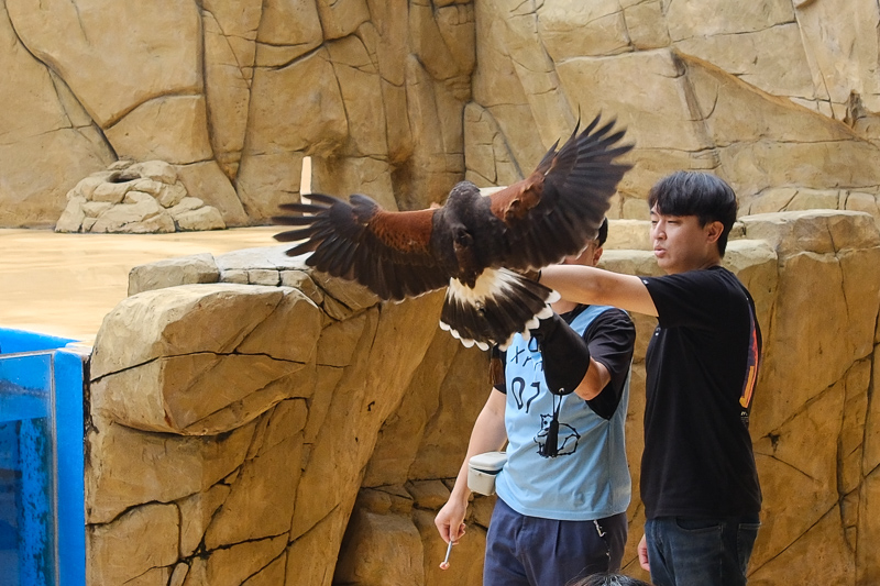 【2025 Xpark攻略】桃園Xpark水族館：必看重點、美食餐廳＆門票停車彙整