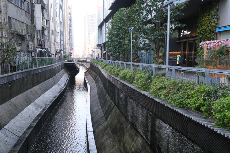 【澀谷景點推薦】2025澀谷逛街一日遊行程！Shibuya Sky、十字路口、PARCO全攻略