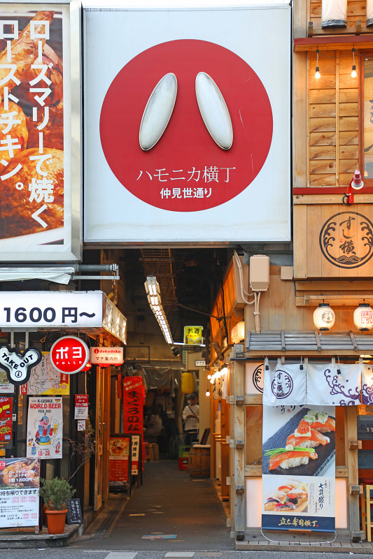 【2025吉祥寺一日遊】東京人最想住街區！Sun Road商店街、吉卜力、井之頭公園攻略