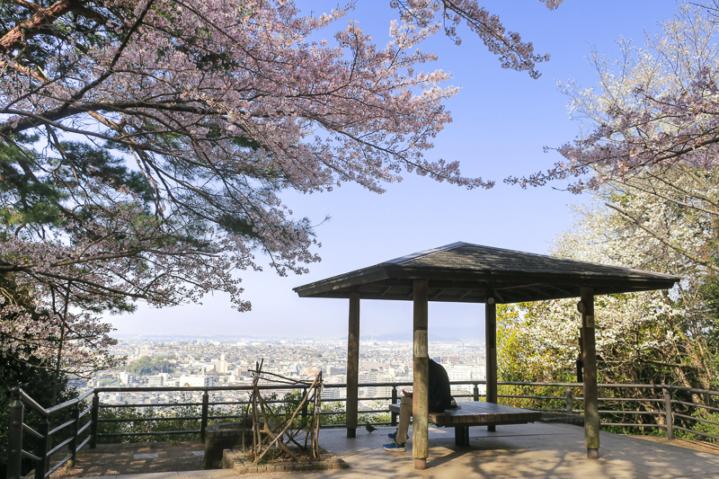 【宇治景點2025】宇治一日遊行程、交通美食全攻略！抹茶控必訪歷史古都
