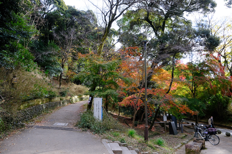 【宇治景點2025】宇治一日遊行程、交通美食全攻略！抹茶控必訪歷史古都