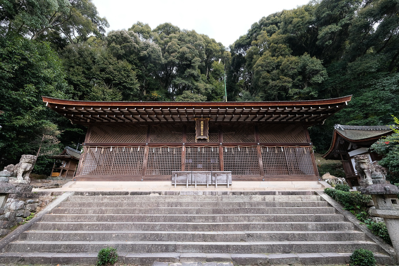 【宇治景點2025】宇治一日遊行程、交通美食全攻略！抹茶控必訪歷史古都