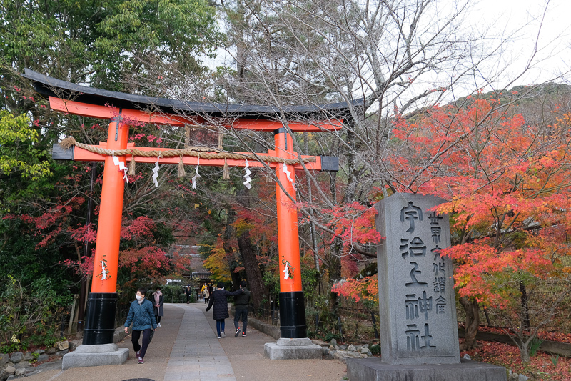 【宇治景點2025】宇治一日遊行程、交通美食全攻略！抹茶控必訪歷史古都