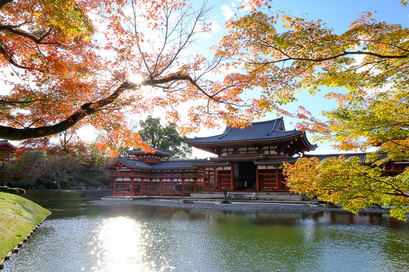 【宇治景點2025】宇治一日遊行程、交通美食全攻略！抹茶控必訪歷史古都