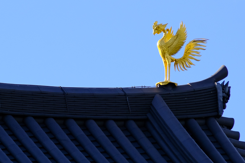 【宇治景點2025】宇治一日遊行程、交通美食全攻略！抹茶控必訪歷史古都