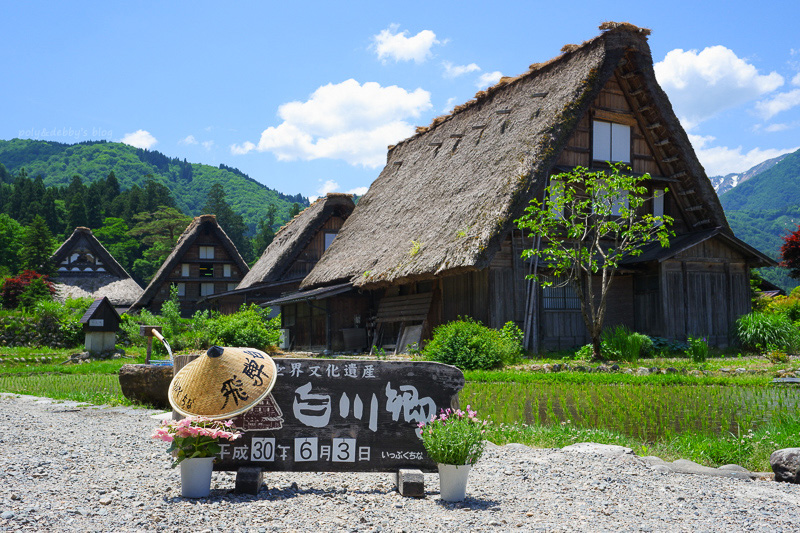 【2025白川鄉合掌村攻略】夢幻世界遺產一日遊！冬天點燈＆交通美食彙整
