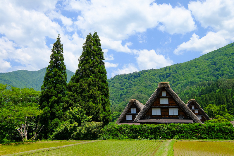 【2025白川鄉合掌村攻略】夢幻世界遺產一日遊！冬天點燈＆交通美食彙整