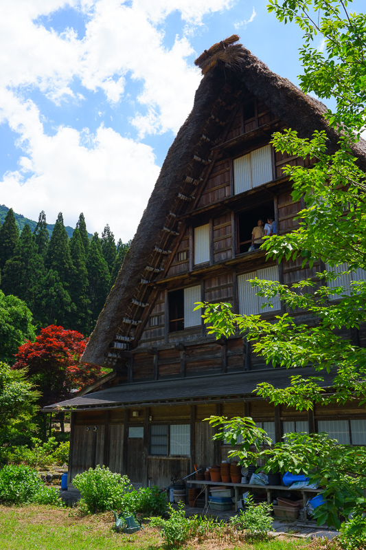 【2025白川鄉合掌村攻略】夢幻世界遺產一日遊！冬天點燈＆交通美食彙整