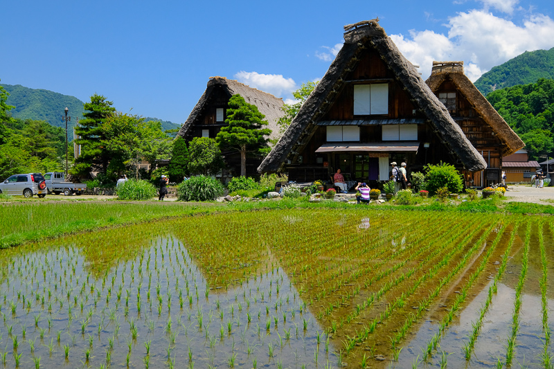 【2025白川鄉合掌村攻略】夢幻世界遺產一日遊！冬天點燈＆交通美食彙整