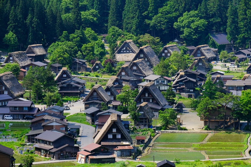 【2025白川鄉合掌村攻略】夢幻世界遺產一日遊！冬天點燈＆交通美食彙整