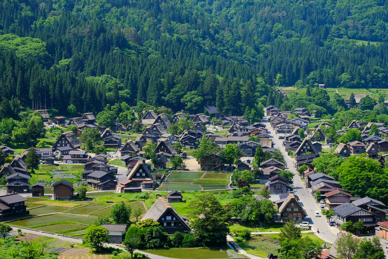 【2025白川鄉合掌村攻略】夢幻世界遺產一日遊！冬天點燈＆交通美食彙整