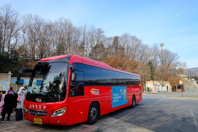 【2025愛寶樂園】韓國最大遊樂園！雲霄飛車、野生動物園＆門票交通全攻略