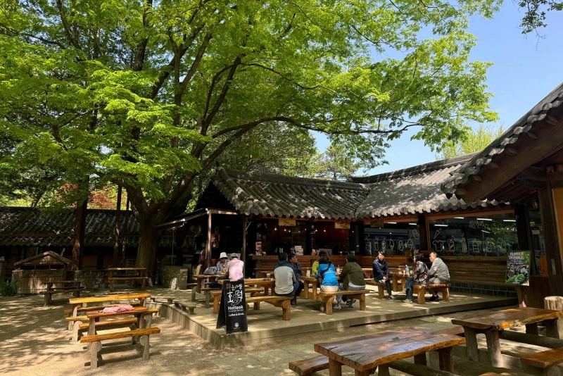【2025南怡島一日遊】冬季戀歌場景！滑索預約、必吃美食＆門票交通全攻略