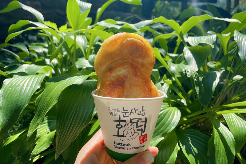 【2025南怡島一日遊】冬季戀歌場景！滑索預約、必吃美食＆門票交通全攻略