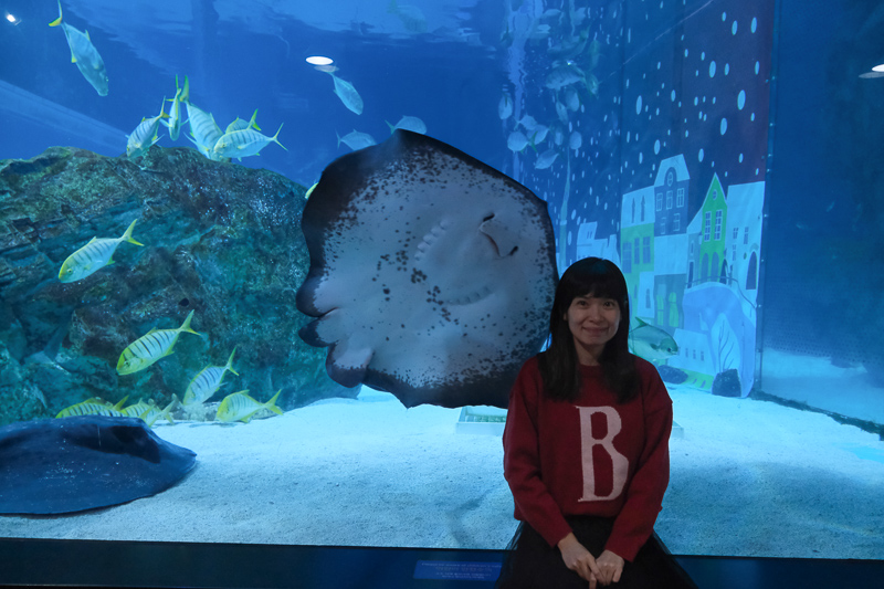 【首爾】COEX水族館：韓國最大室內水族館！2萬隻海洋生物＆美人魚表演好精彩
