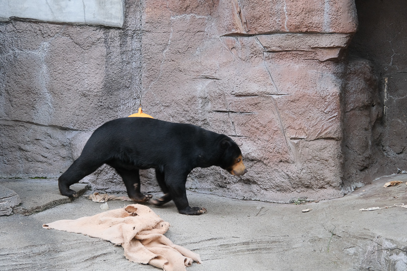 【大阪】天王寺動物園：開業110年超古老動物園！門票交通＆附近景點彙整