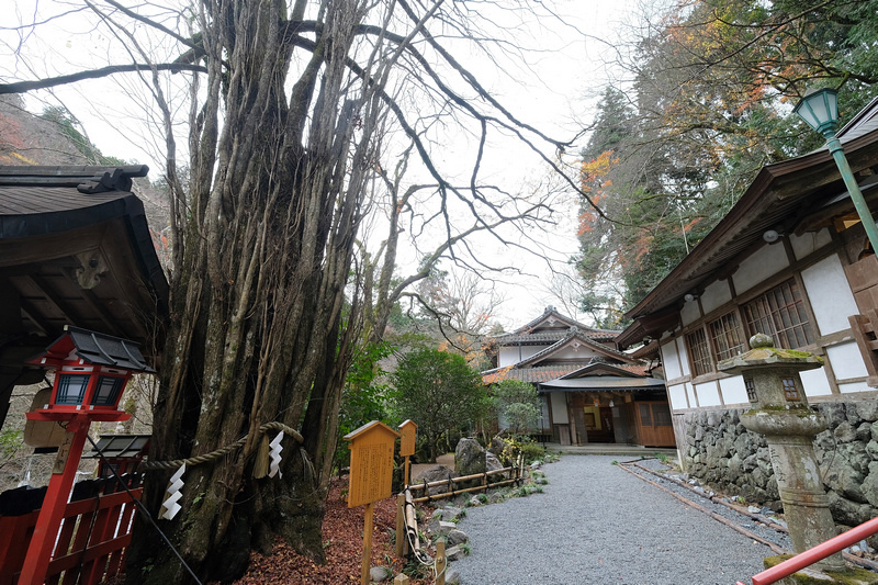 【京都】貴船神社：冬天白雪超美！秋天楓葉、點燈時間必去 (含