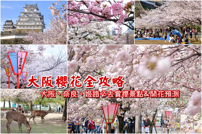 【大阪櫻花景點】2025必去關西大阪賞櫻景點＆櫻花季時間預測總整理