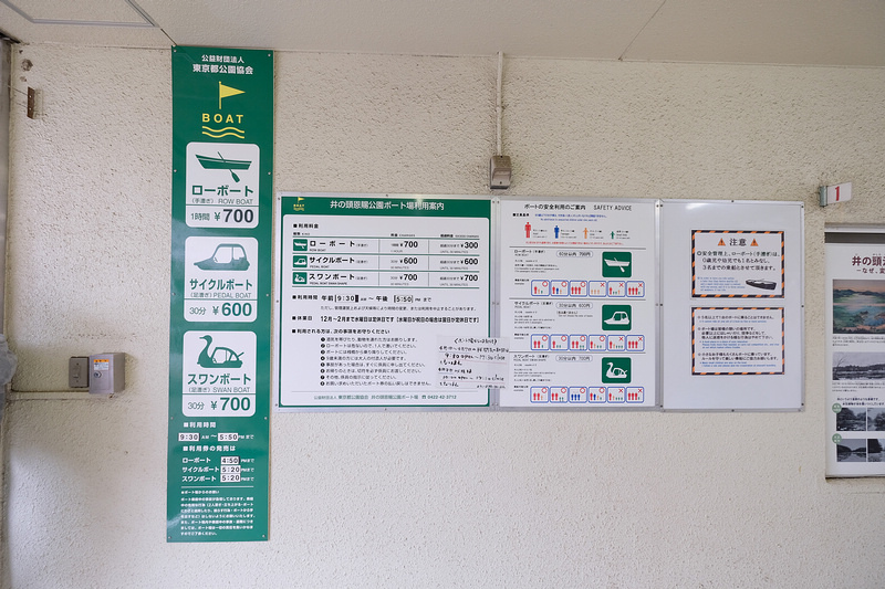 【東京吉祥寺】井之頭恩賜公園：看櫻花、野餐踩天鵝船，楓葉也很