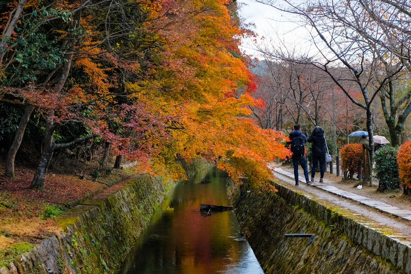 【京都楓葉景點】2024必去京都賞楓景點、紅葉時間情報＆行程