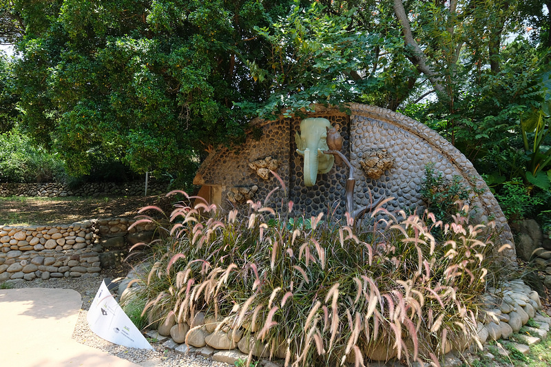 【新竹市立動物園】超美文青風動物園！門票交通美食＆附近景點一