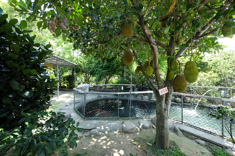 DSCF7232.jpg