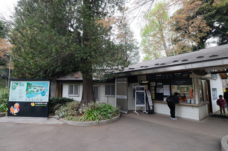 【東京吉祥寺】井之頭恩賜公園：看櫻花、野餐踩天鵝船，楓葉也很