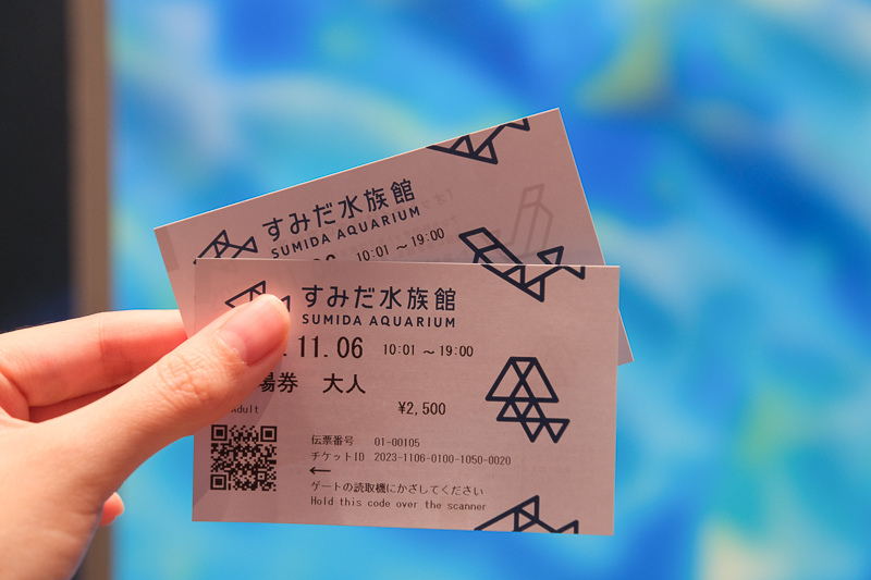 【東京】墨田水族館：晴空塔內超萌企鵝水母！門票優惠＆必看重點