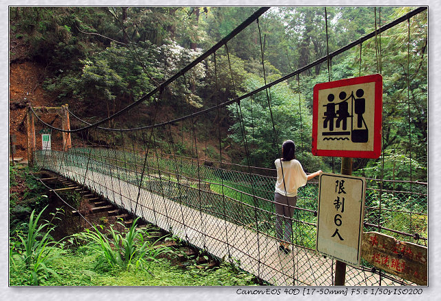 ［竹崎鄉］：看神木千變萬化☆阿里山國家森林