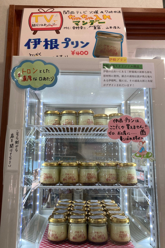 【京都】伊根舟屋：日本威尼斯美譽！搭船餵海鷗、交通＆附近景點