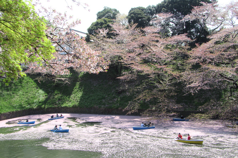 千鳥淵櫻花河.jpg