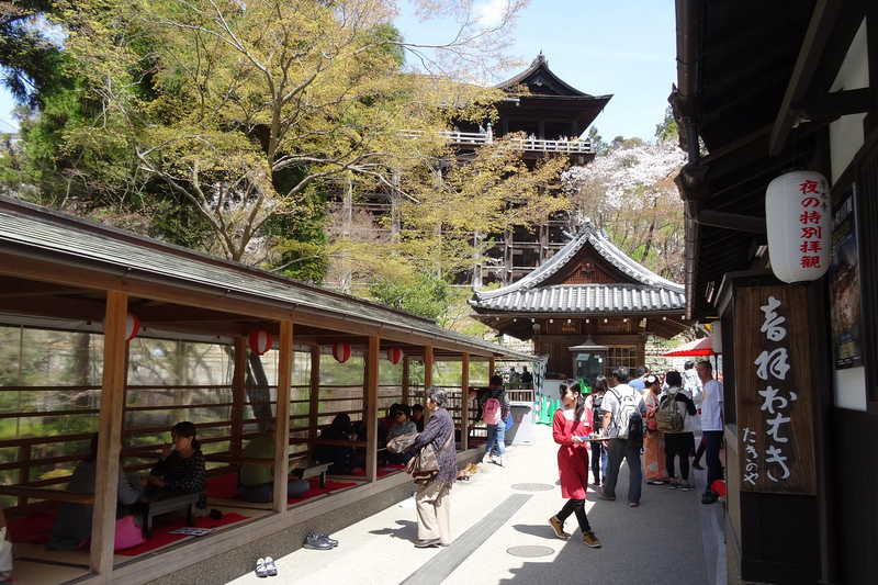 【2024京都清水寺】國寶級世界遺產！必看重點、櫻花楓葉＆門