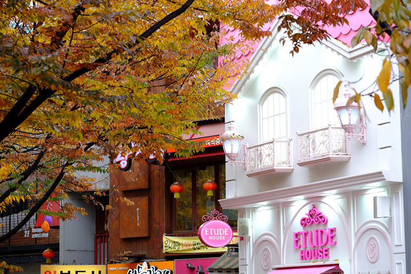 DSCF8227.jpg
