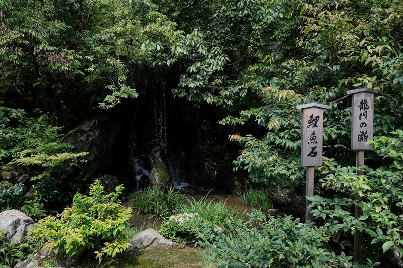 【京都】金閣寺：金碧輝煌一休和尚場景！必看重點、御守＆門票交