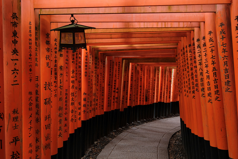 【京都】伏見稻荷大社：千本鳥居必看！狐狸御守、門票交通＆附近