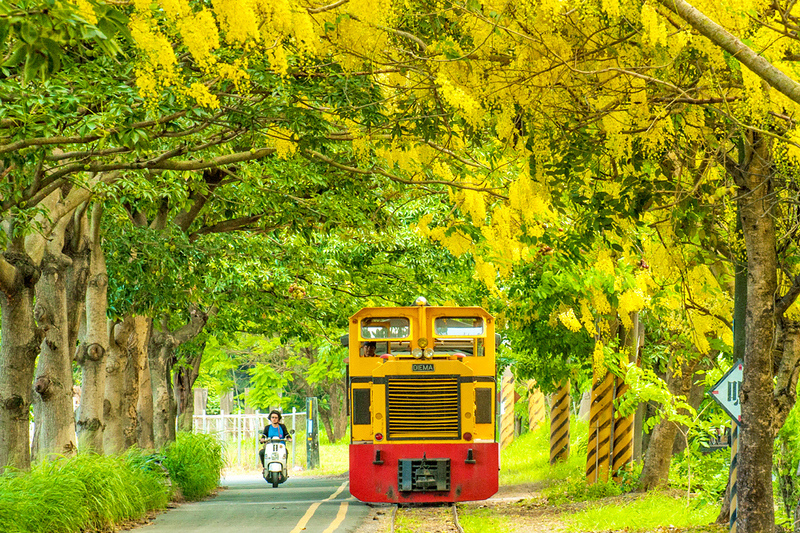橋頭糖廠火車.jpg