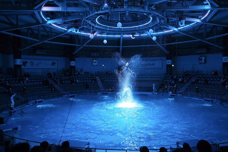 【東京】品川水族館Maxell Aqua Park：海豚秀超