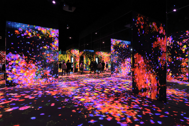【東京】teamLab Borderless麻布台之丘：華麗