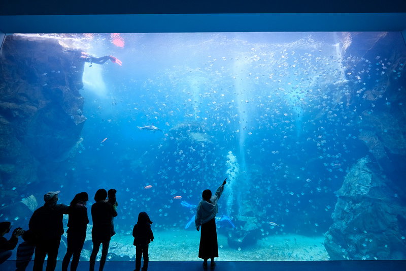 【桃園Xpark水族館】2024最新必看亮點、門票優惠、玩樂