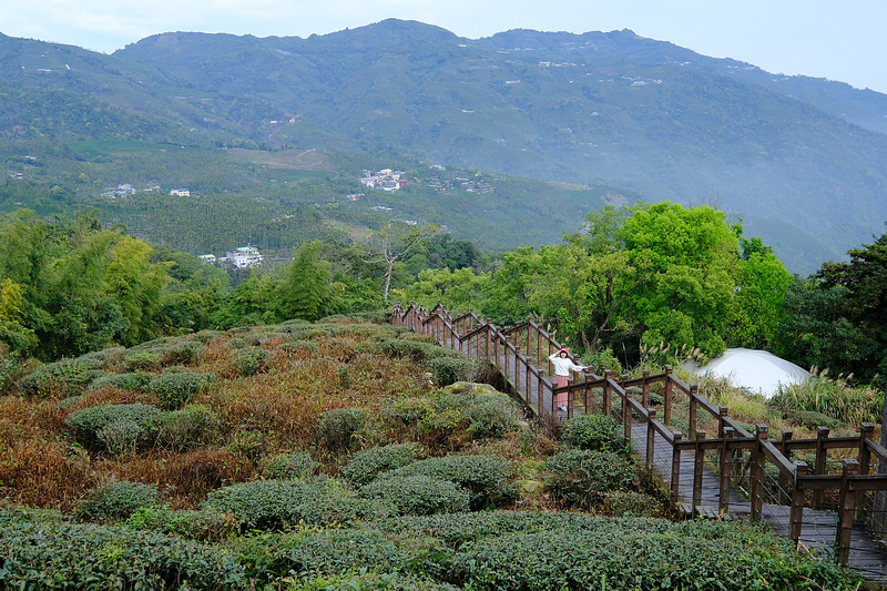 DSCF7560.JPG