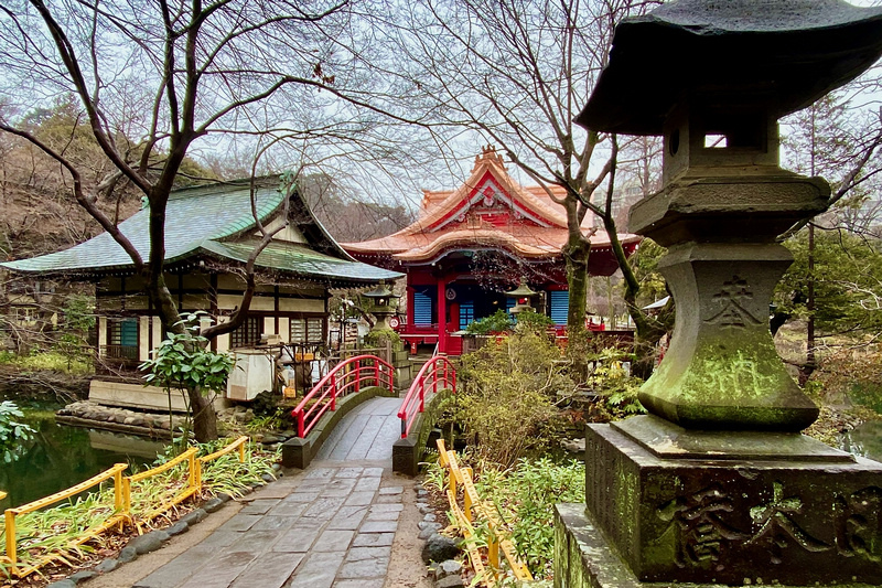 【東京吉祥寺】井之頭恩賜公園：看櫻花、野餐踩天鵝船，楓葉也很