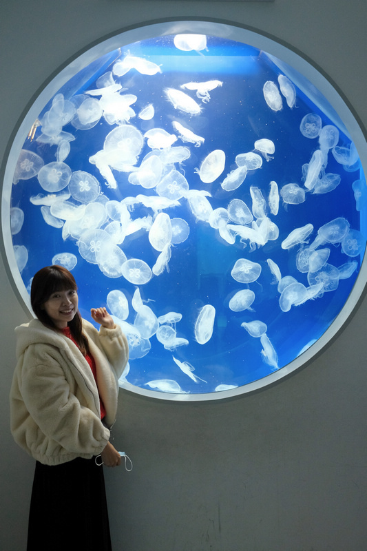 【桃園Xpark水族館】2024最新必看亮點、門票優惠、玩樂