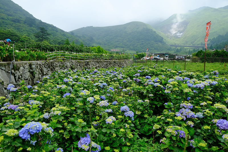 DSCF8990.JPG