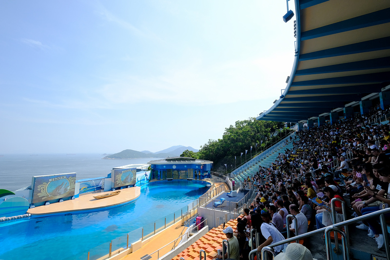 【香港海洋公園攻略】2023便宜門票優惠、必買交通＆玩樂秘訣